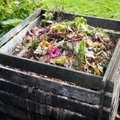 Kompostuodami ne tik pagerinsite dirvožemį ir sutaupysite pinigų