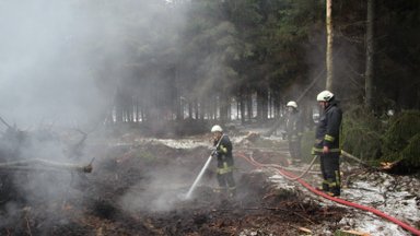 Kuršėnų regioninio padalinio miškuose numalšintas požeminis gaisras