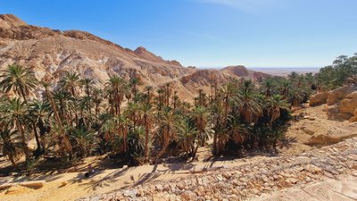  Tunisui įprasta dykumos panorama