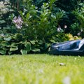 Viskas, ką reikia žinoti renkantis vejos robotą