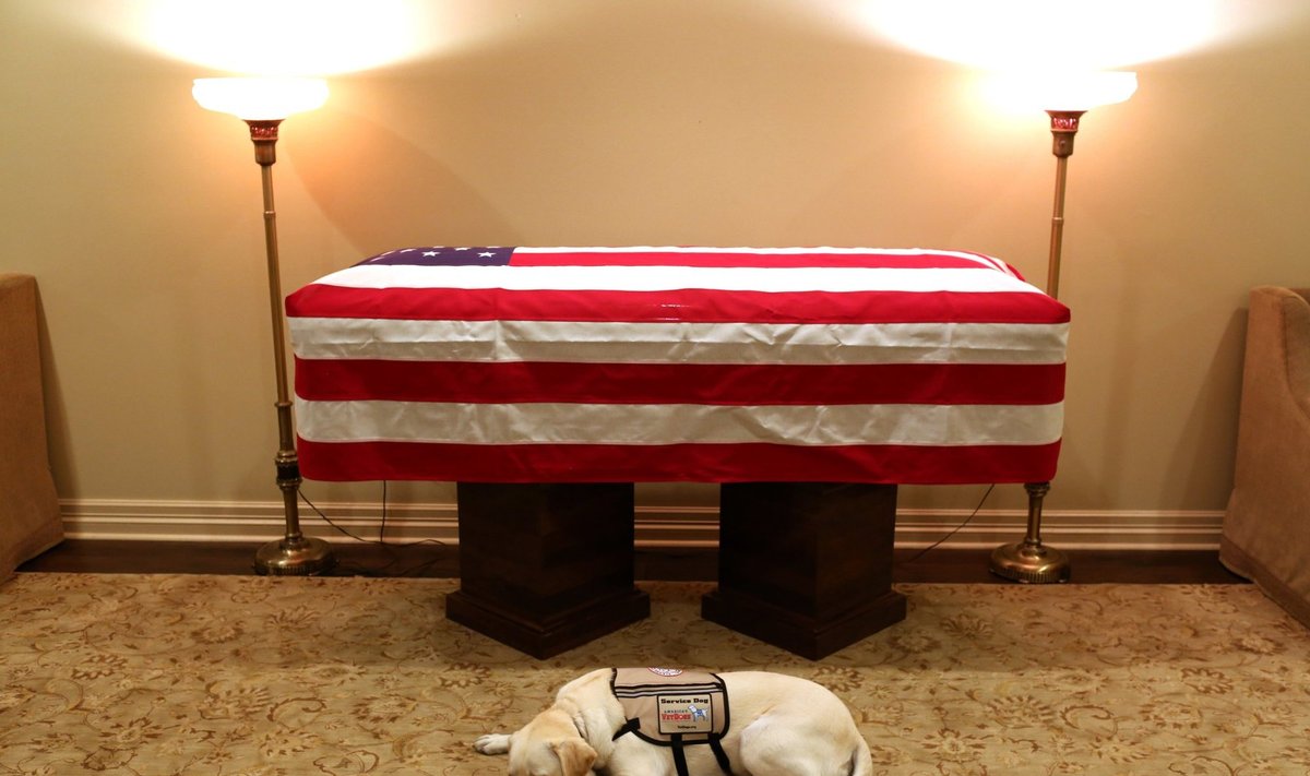 Velionio Bušo šuo budėjo prie mirusio šeimininko karsto