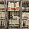 EU will not extend milk quotas, Lithuanian PM says