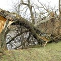 Audra pridarė žalos: 5 tūkst. šeimų liko be elektros, ugniagesiai šalino virtusius medžius