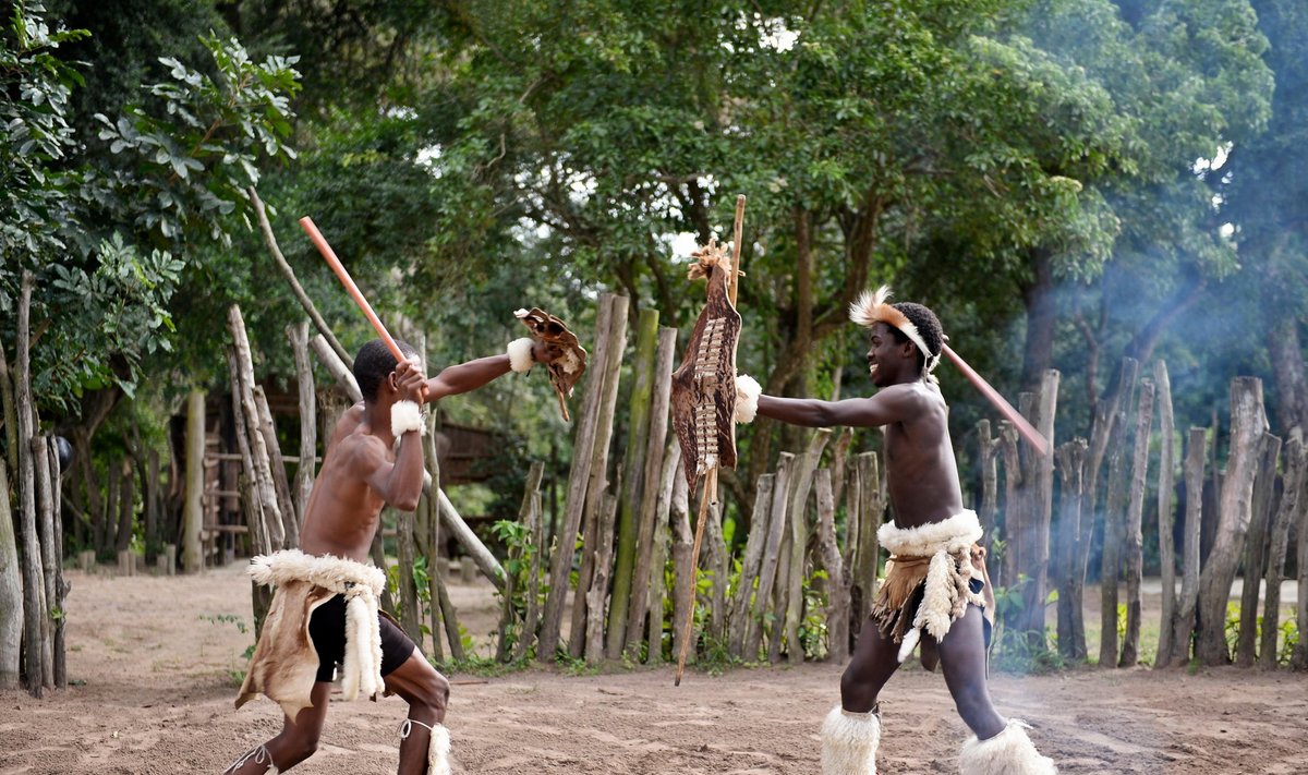 Zulu gentis