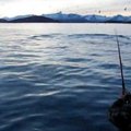 Menkes Norvegijoje žvejojusiems lietuviams užkibo banginis