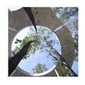 Medžių architektūra: Lietuvos paviljonas 2025-ųjų Venecijos architektūros bienalėje