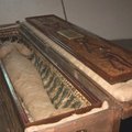 Vokietijoje berniukas palėpėje rado senovinę mumiją