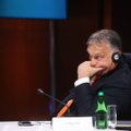 Konservatoriai apgailestauja, kad vengrai pasirinko Orbaną: sunku tai priimti kaip normą