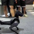 Parodoje Pekine – naujausios kartos robotų šou