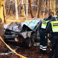 Klaipėdoje „Rover“ trenkėsi į medį, žuvo 20-metė vairuotoja