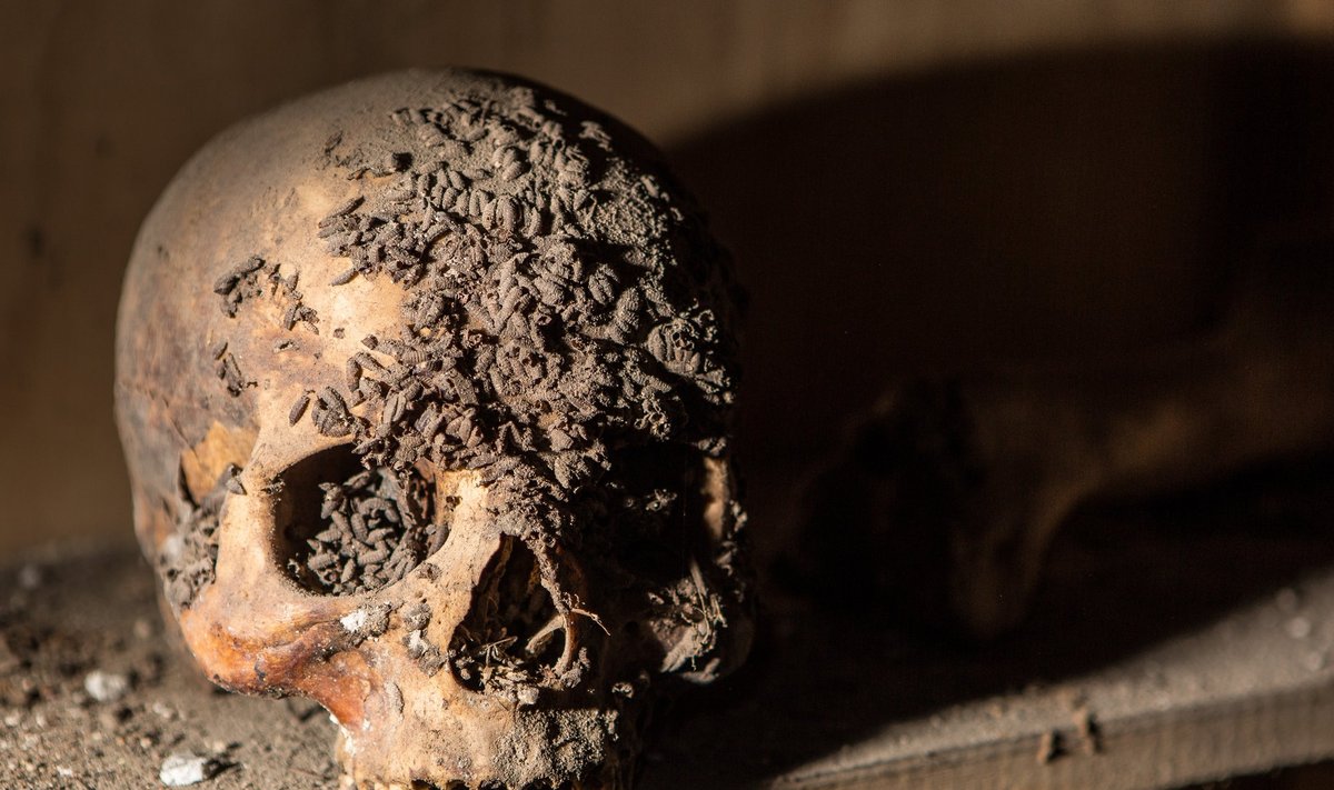 National Geographic nuotraukų galerija apie mumijų tyrimus Lietuvoje