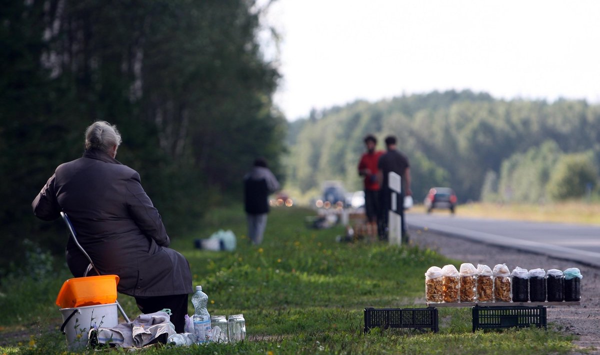 Pakelės pardavėjai