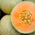 Paprastas būdas padės išsirinkti labiausiai prinokusį melioną