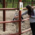 Lietuvos zoologijos sodas kviečia švęsti Pasaulinę gyvūnijos dieną