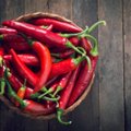 Čili pipirai, paprika – kodėl juos sėti reikia anksčiau už pomidorus
