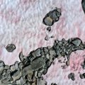 Mokslininkai tiria paslaptingą rožinį ledą Alpėse: bijoma katastrofiškų reiškinio pasekmių