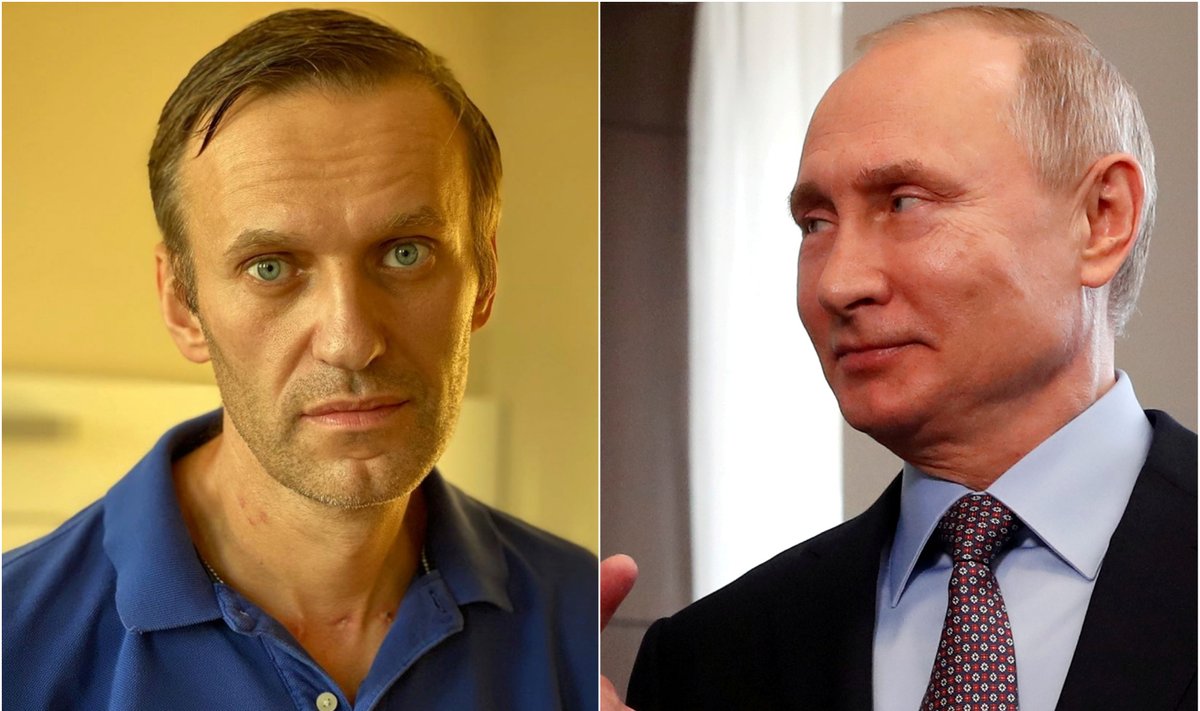 Aleksejus Navalnas, Vladimiras Putinas