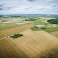 Kuri kultūra šiemet bus pelningiausia – lyderiai gali keistis