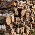 Литва – второй по величине поставщик древесины компании Ikea, министр не видит проблемы