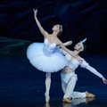 LNOBT baleto artistai neigia mitus apie savo profesiją