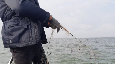 Aktualiausi verslinės žvejybos apribojimai ir draudimai Baltijos jūros priekrantėje