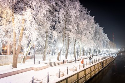 Kalėdiškai pasipuošusi Klaipėda