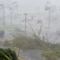 Audrų nuniokotam Puerto Rikui atsigauti trukdo skolų bagažas