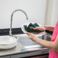 Specialistai įspėja: perdėta švara namuose gali sukelti rimtus negalavimus