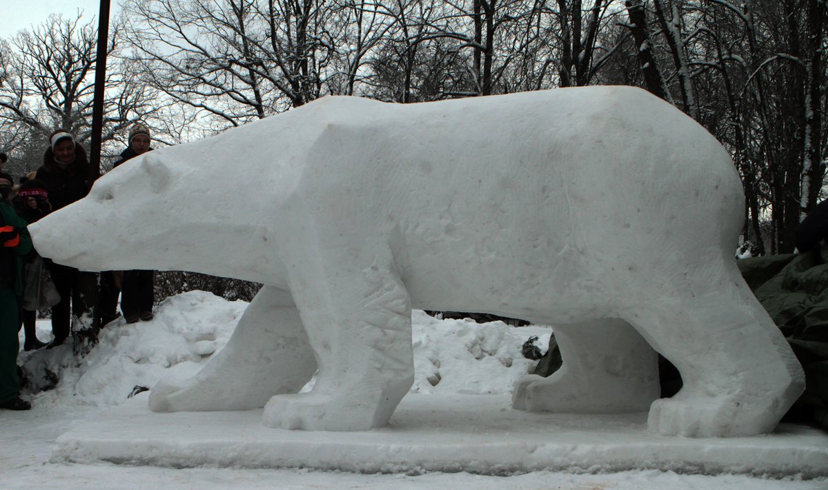 Sniego skulptūra baltajam lokiui Kasparui