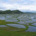 Gamtos stebuklai: plūduriuojančios salos Loktako ežere Indijoje