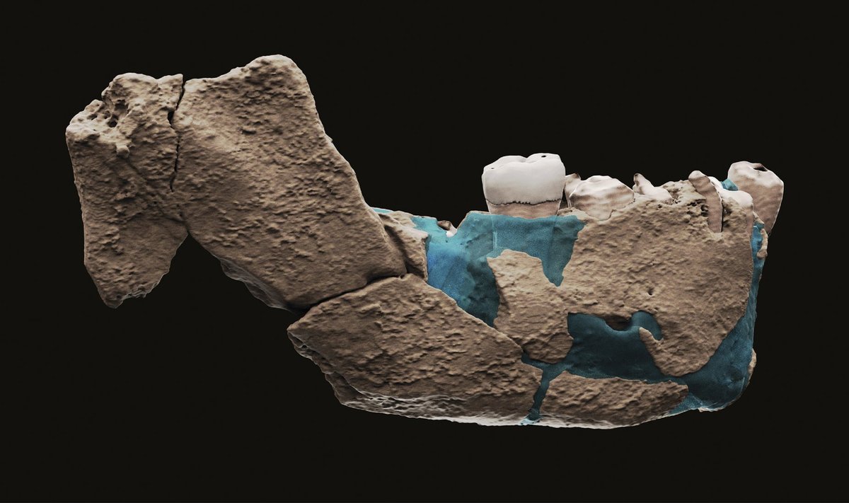 Archeologiniai radiniai, susiję su žmogaus fosilijomis, rodo, kad „Nesher Ramla“ žmonės turėjo pažangias akmens įrankių gamybos technologijas ir greičiausiai bendravo su vietiniais Homo sapiens