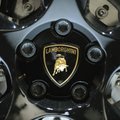 Naktinė itališko „buliaus“ „Lamborghini Murcielago“ medžioklė