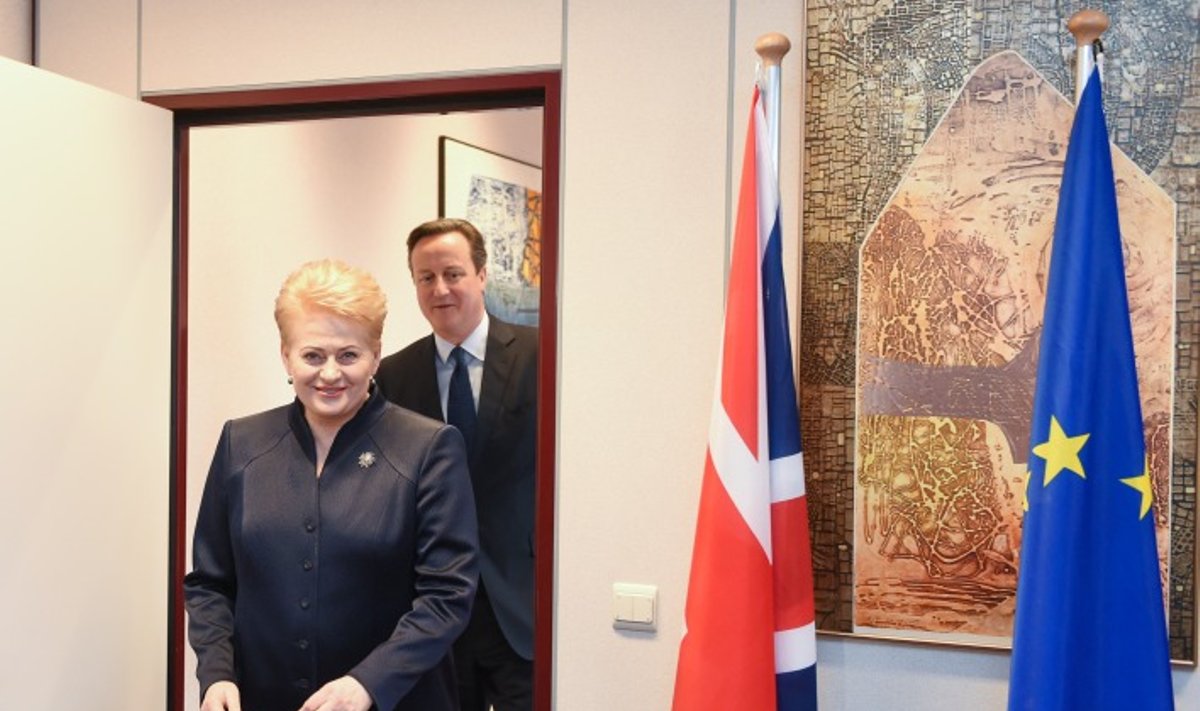 Davidas Cameronas ir Dalia Grybauskaitė