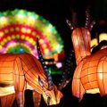 Kinijos šviesų šou kviečia pasivaikščioti po naktinį Antverpeno zoologijos sodą