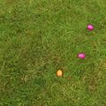 Kitokios Velykos: kiaušinių mėtymo varžybos Horhauzeno mieste