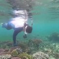 Gamtosaugininkė siekia atgaivinti Balio koralinius rifus