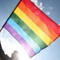 Радикалы сорвали ЛГБТ-фестиваль в столице Грузии
