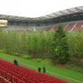 Stadione iškilęs miškas perduoda aplinkosauginę žinutę