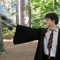 J. K. Rowling atskleidė dar daugiau „Hario Poterio“ epopėjos paslapčių