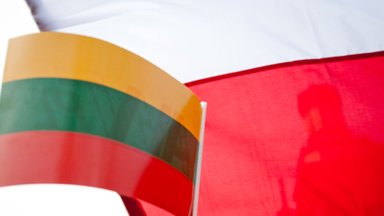 Czy Polacy na Litwie broniliby Litwy, Święto Wojska Polskiego czyli aktualia tygodnia
