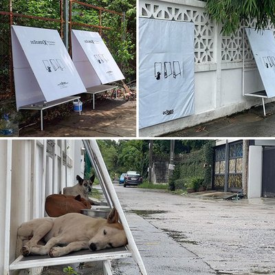 Tailande gyvūnų gelbėtojai įrengė sulankstomas pastoges benamiams šunims.