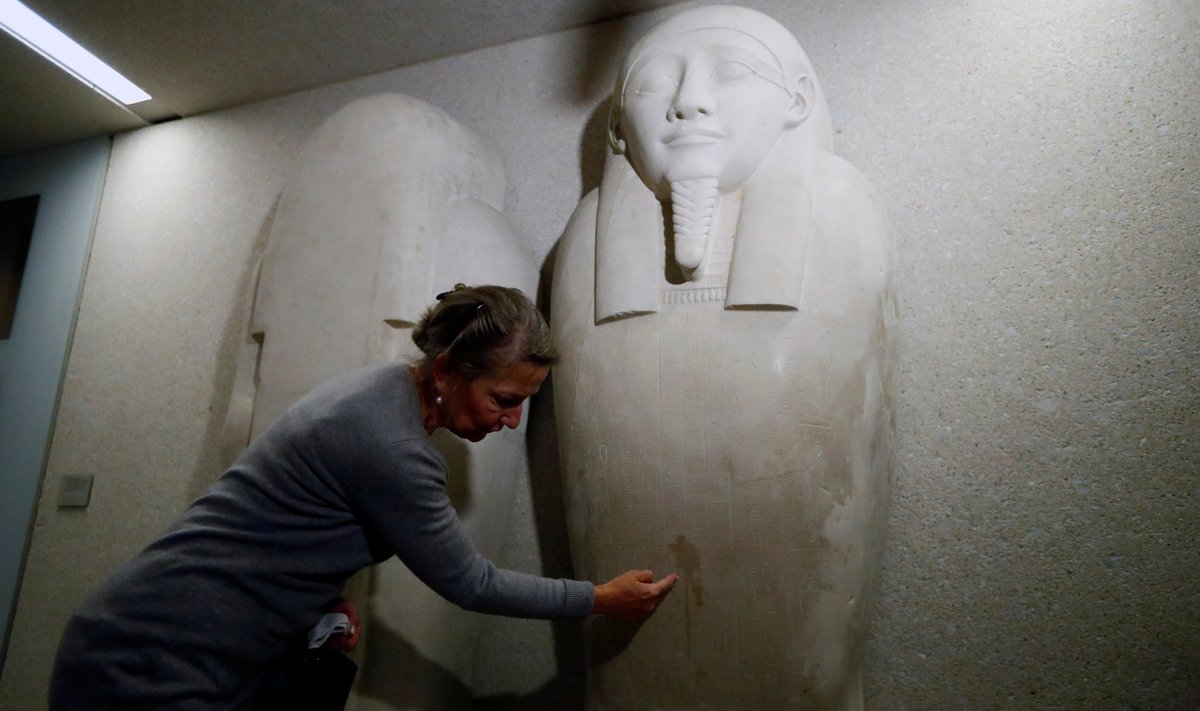 Friederike Seyfried, Egipto muziejaus Berlyne direktorė