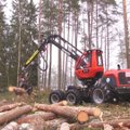 Miškų savininkai dėl liūčių patyrė 30-50 mln. eurų žalą