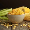 Kukurūzų Lietuvoje užauginama daugiau, bet paklausa menka