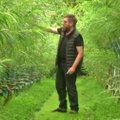 Britų dizaineris augina baldus tiesiog savo sode