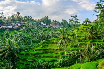 Balis, Indonezija