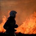 ВИДЕО: площадь пожаров в РФ превысила 2 миллиона гектаров, дым достиг регионов Урала