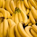 Kodėl sveikatai naudingesni pernokę bananai