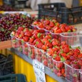 На рынках продают первые литовские ягоды и овощи: клубника по карману не всем