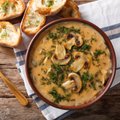 Pievagrybių sriuba – vienas malonumas ją valgyti